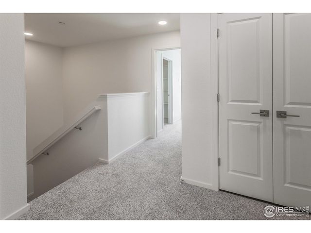 4894 River Roads Dr, Timnath, CO 80547