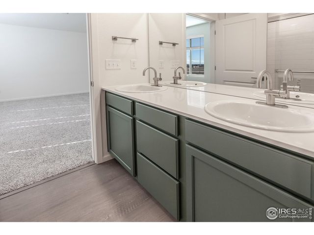 4894 River Roads Dr, Timnath, CO 80547