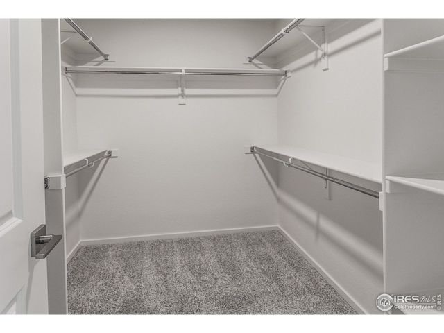 4894 River Roads Dr, Timnath, CO 80547