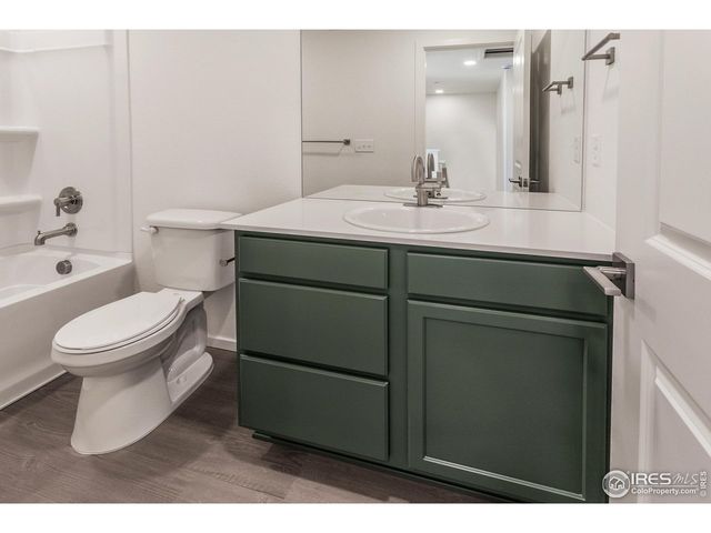 4894 River Roads Dr, Timnath, CO 80547