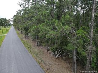 0 Sandy Lane, Dequincy, LA 70633