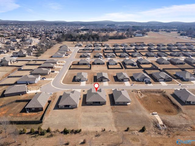 25090 Delilah Circle, Athens, AL 35613