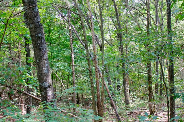 County Road 2264, Berryville, AR 72631