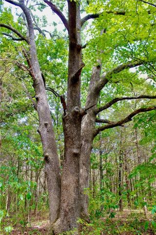 County Road 2264, Berryville, AR 72631