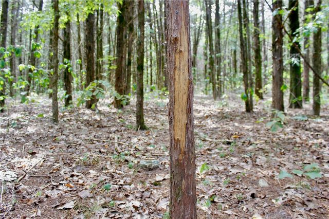 County Road 2264, Berryville, AR 72631