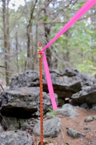 County Road 2264, Berryville, AR 72631