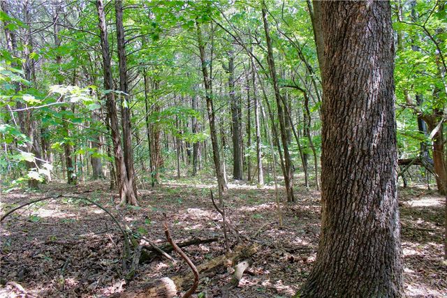 County Road 2264, Berryville, AR 72631