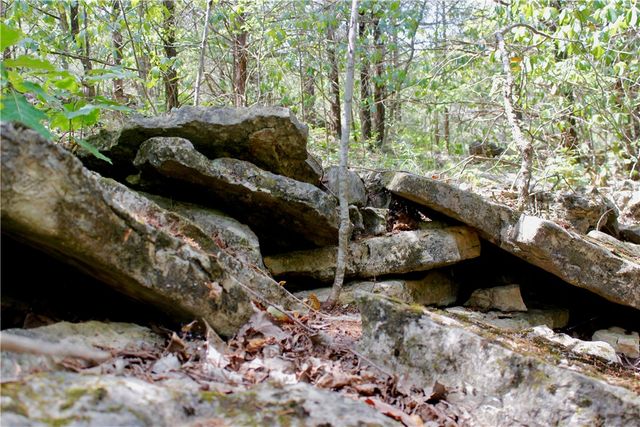 County Road 2264, Berryville, AR 72631