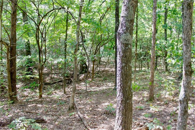 County Road 2264, Berryville, AR 72631