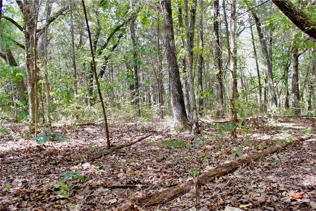 County Road 2264, Berryville, AR 72631