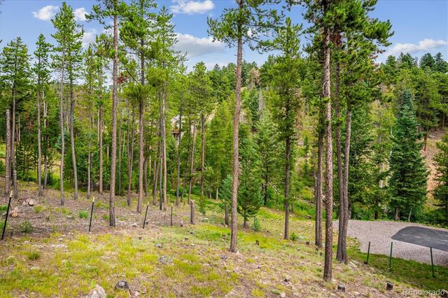 34155 Grouse Lane, Evergreen, CO 80439