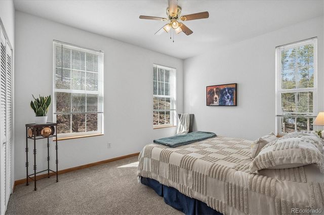 34155 Grouse Lane, Evergreen, CO 80439