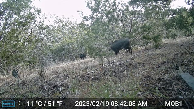 180 Robison RD, Bertram, TX 78605
