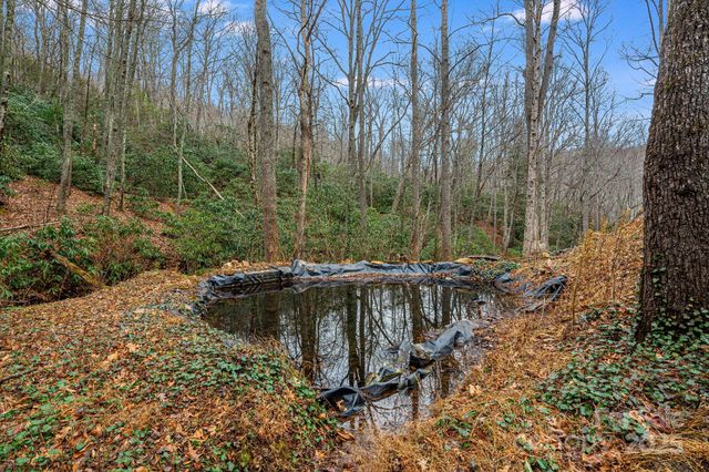 55 Heavenly Lane, Fairview, NC 28730