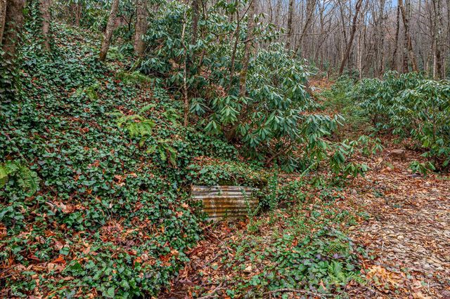 55 Heavenly Lane, Fairview, NC 28730