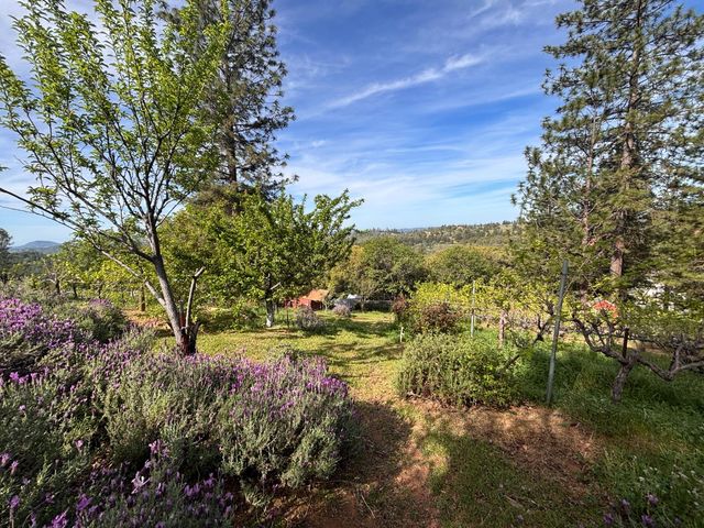 10285 Ponderosa Way, Pine Grove, CA 95665