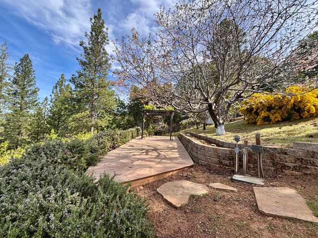 10285 Ponderosa Way, Pine Grove, CA 95665