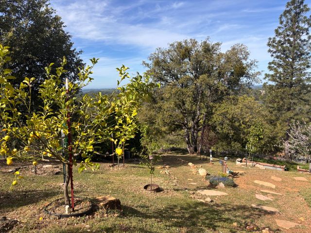 10285 Ponderosa Way, Pine Grove, CA 95665