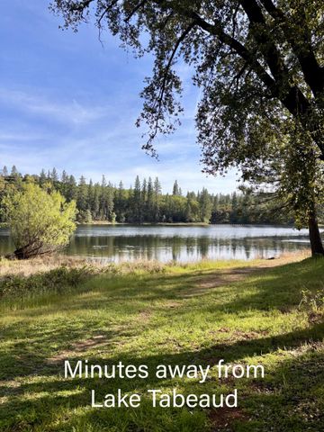 10285 Ponderosa Way, Pine Grove, CA 95665