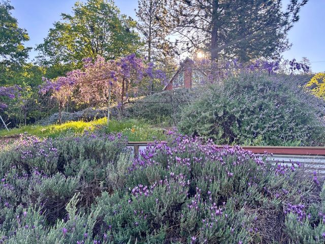 10285 Ponderosa Way, Pine Grove, CA 95665