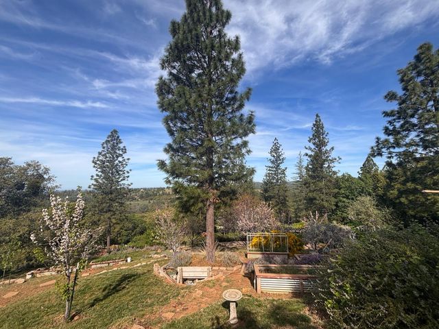 10285 Ponderosa Way, Pine Grove, CA 95665