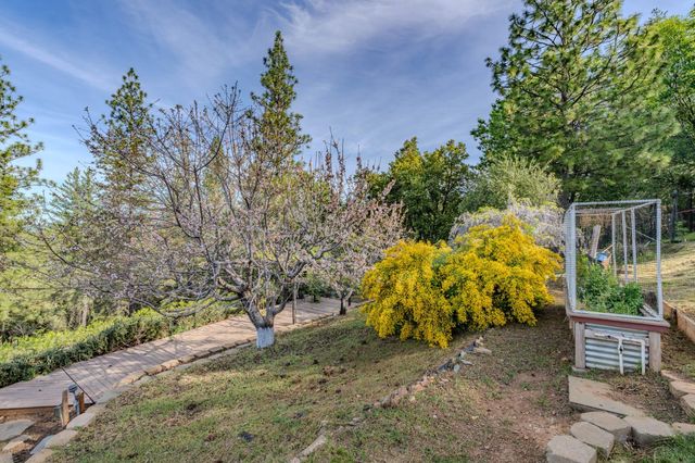 10285 Ponderosa Way, Pine Grove, CA 95665