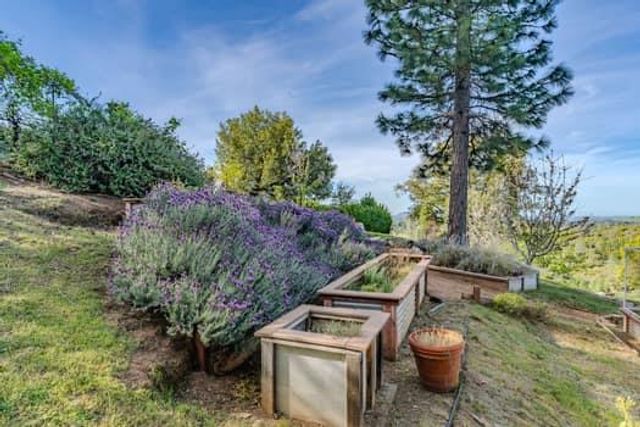 10285 Ponderosa Way, Pine Grove, CA 95665