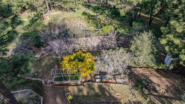 10285 Ponderosa Way, Pine Grove, CA 95665