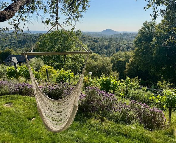 10285 Ponderosa Way, Pine Grove, CA 95665