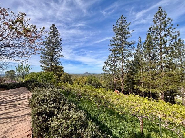 10285 Ponderosa Way, Pine Grove, CA 95665