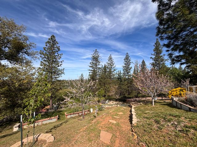 10285 Ponderosa Way, Pine Grove, CA 95665
