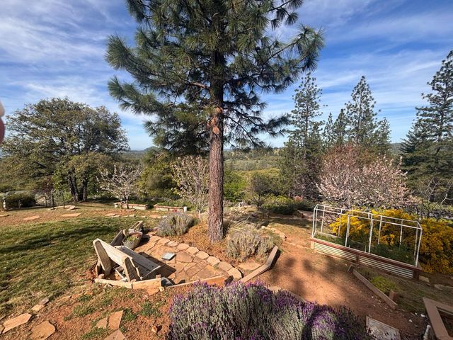 10285 Ponderosa Way, Pine Grove, CA 95665