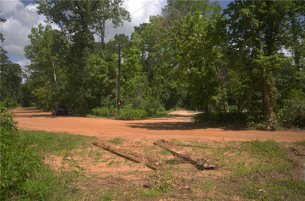 TBD Mill Creek Drive N, Plantersville, TX 77363 — photo 4
