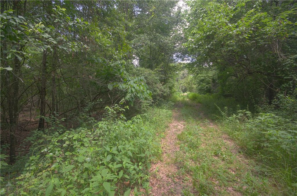 TBD Mill Creek Drive N, Plantersville, TX 77363 — photo 5