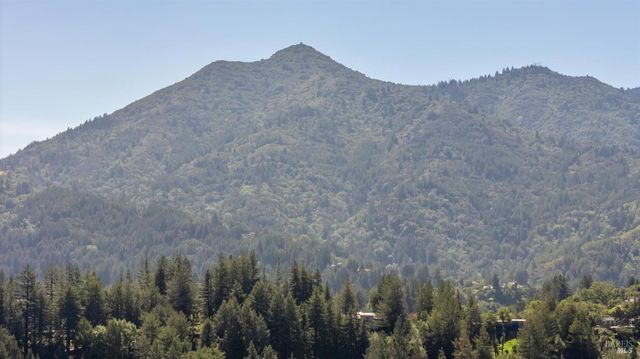 161 Lagunitas Rd, Ross, CA 94957