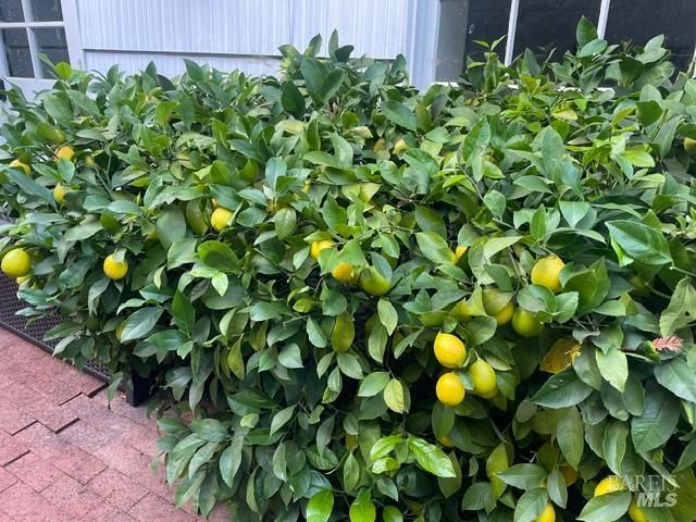 161 Lagunitas Rd, Ross, CA 94957