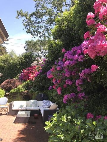 161 Lagunitas Rd, Ross, CA 94957