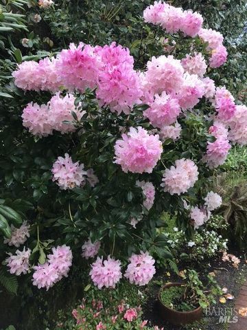 161 Lagunitas Rd, Ross, CA 94957