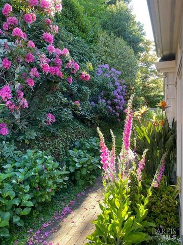 161 Lagunitas Rd, Ross, CA 94957