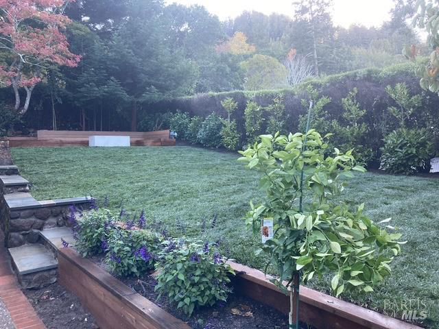 161 Lagunitas Rd, Ross, CA 94957