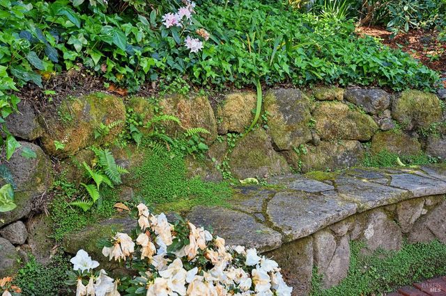 161 Lagunitas Rd, Ross, CA 94957