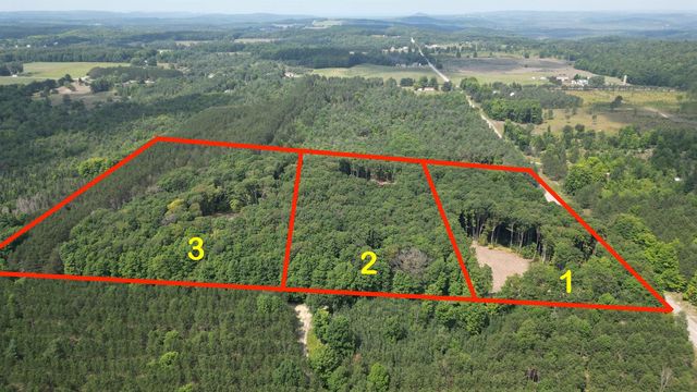 002 S Bright Road, Maple City, MI 49664