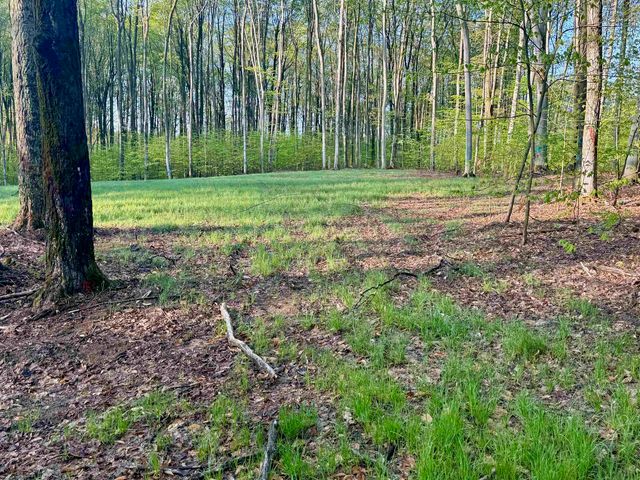 002 S Bright Road, Maple City, MI 49664