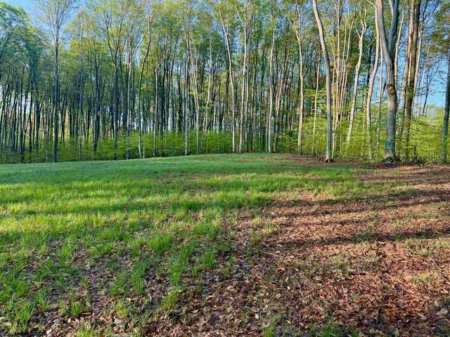 002 S Bright Road, Maple City, MI 49664