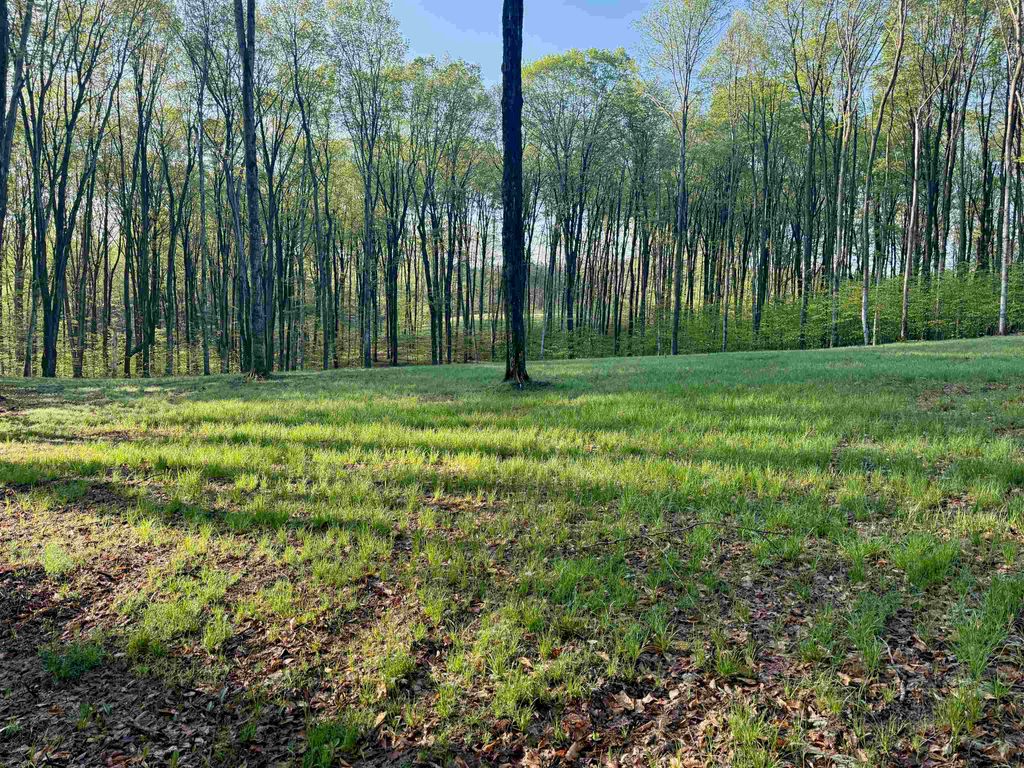 002 S Bright Road, Maple City, MI 49664