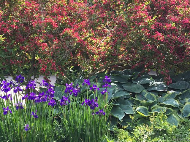 16621 Maumee Street, Grosse Pointe Park, MI 48230