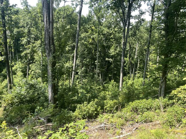 0 Tall Woods Ln, Spencer, TN 38585