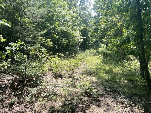 0 Tall Woods Ln, Spencer, TN 38585
