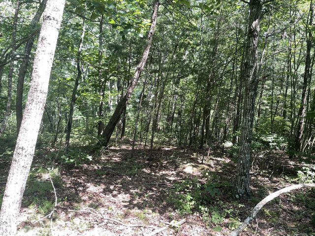 0 Tall Woods Ln, Spencer, TN 38585