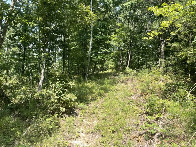 0 Tall Woods Ln, Spencer, TN 38585
